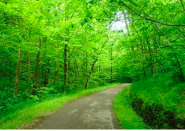 Screen Shot 2017-05-31 at 9.00.44 AM